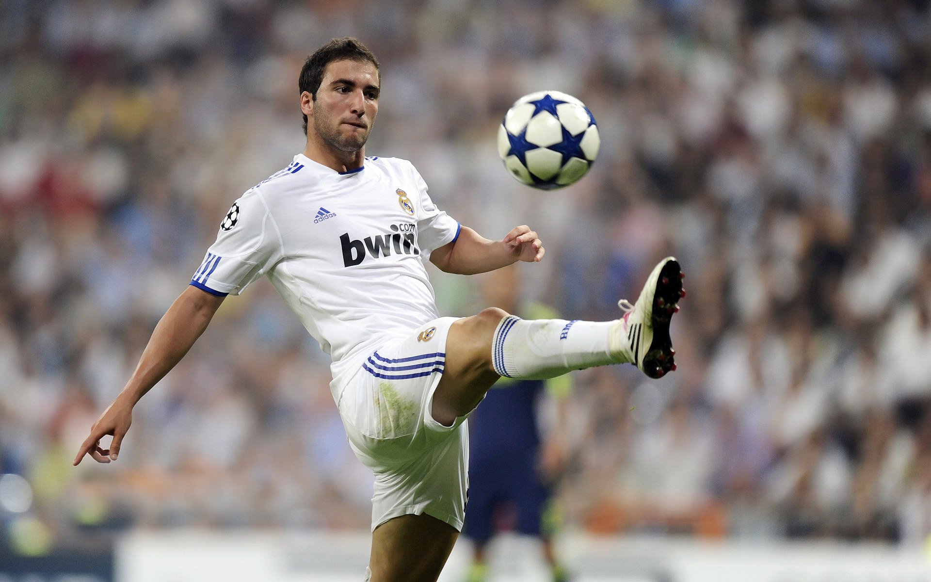 哥伦比亚马术协会与科技公司合作，开发虚拟现实训练平台，提升骑手技能。